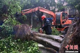 台风“摩羯”二次登陆 广东已转移逾67万人