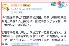 卓伟出山了！曝汪峰章子怡离婚真相，和女人有关，子怡又有新靠山  第10张