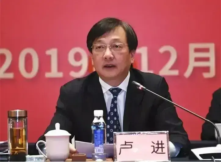 中纪委大新闻！卢进被查！速度之快！仅中国黄金辞职一个月就被查  第4张